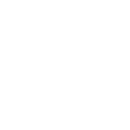 logo-max logo-max