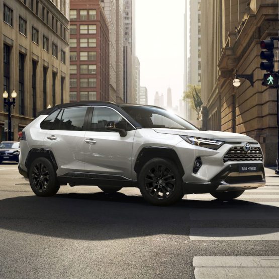 nikvan rav4 (1)