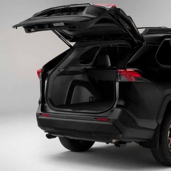 nikvan rav4 (11)
