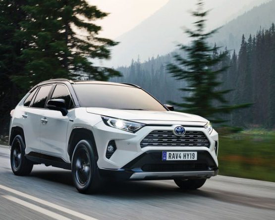 nikvan rav4 (16)