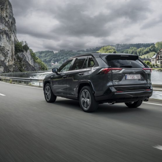 nikvan rav4 (2)