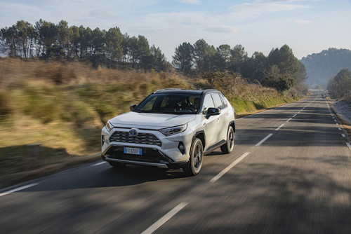 nikvan rav4 (20)