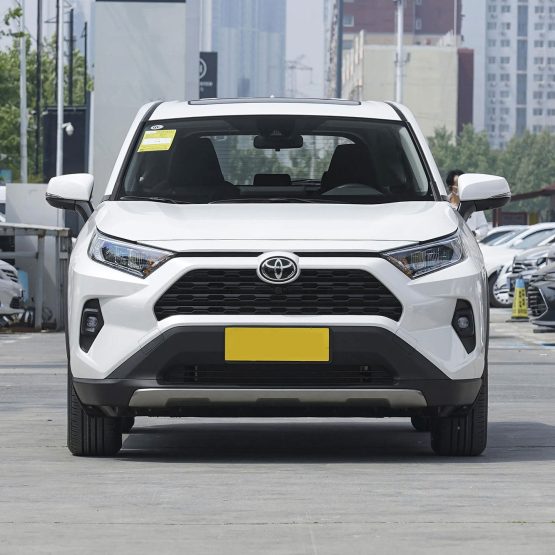 nikvan rav4 (25)