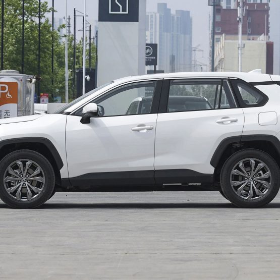 nikvan rav4 (26)