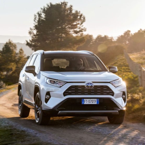 nikvan rav4 (27)
