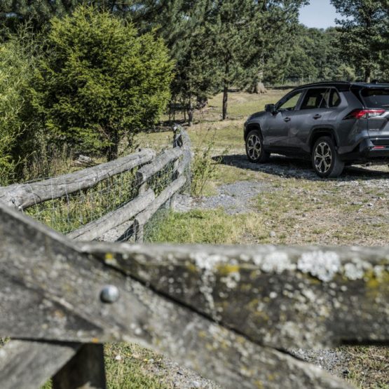 nikvan rav4 (29)