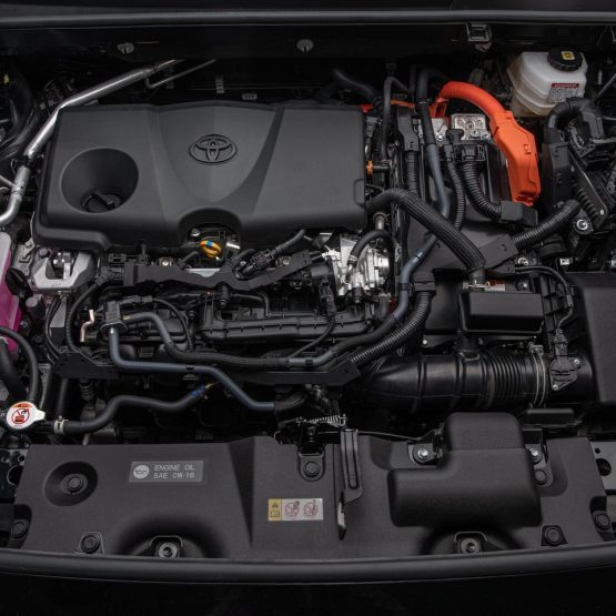 nikvan rav4 (31)