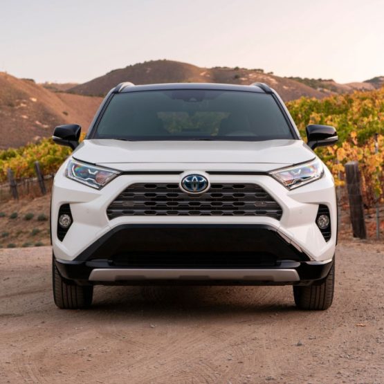 nikvan rav4 (5)