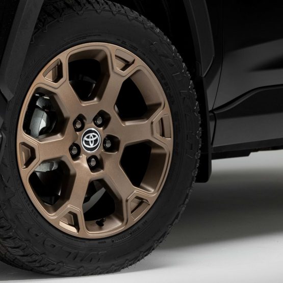 nikvan rav4 (8)