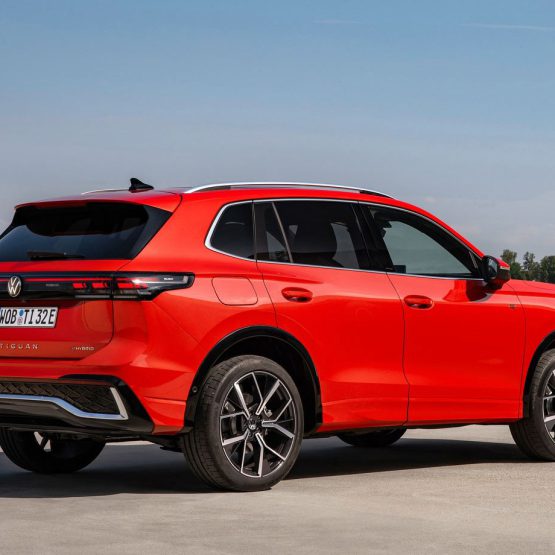 nikvantiguan0 (10)