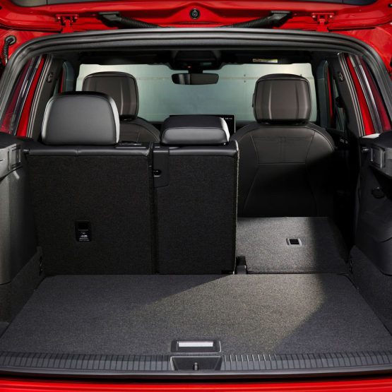 nikvantiguan0 (11)