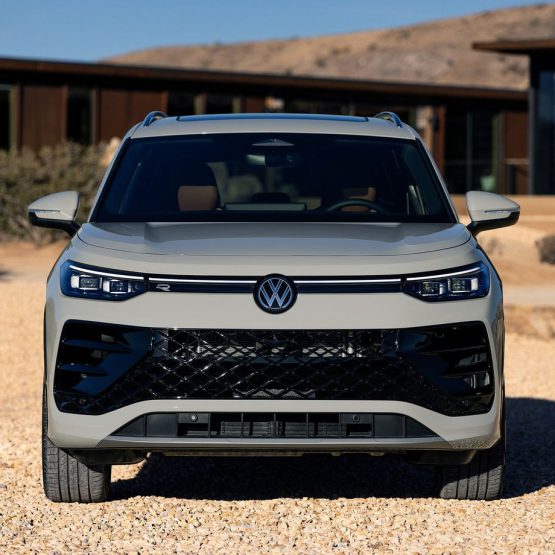 nikvantiguan0 (12)
