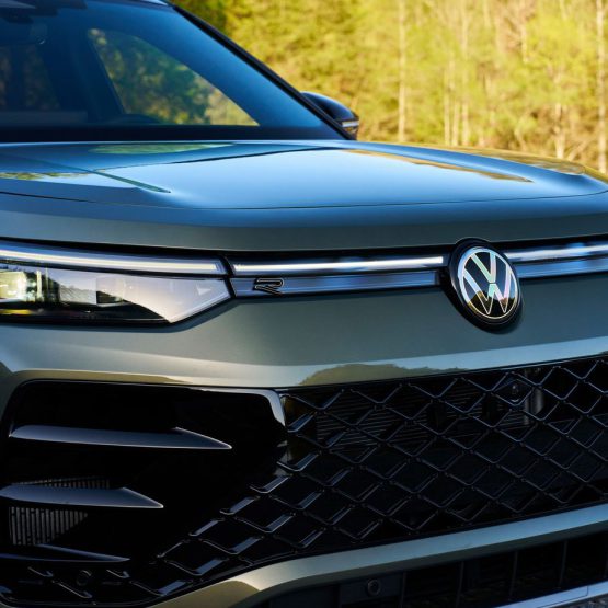 nikvantiguan0 (14)