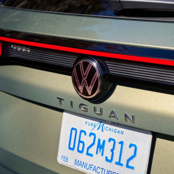nikvantiguan0 (16)