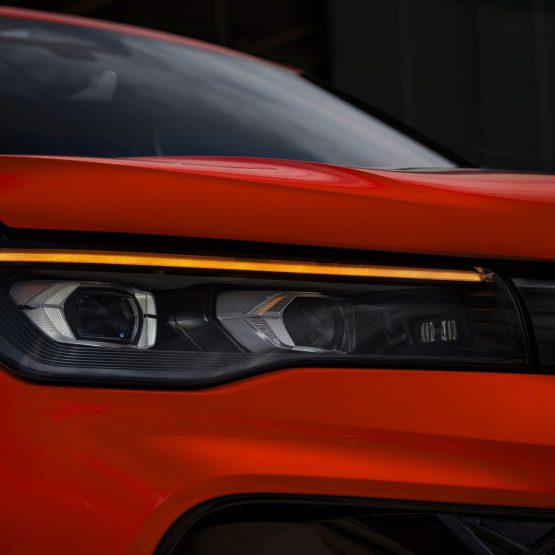 nikvantiguan0 (2)