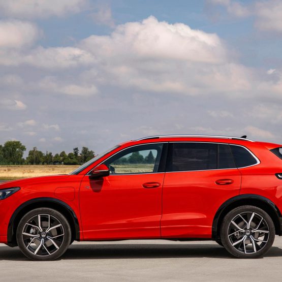 nikvantiguan0 (3)