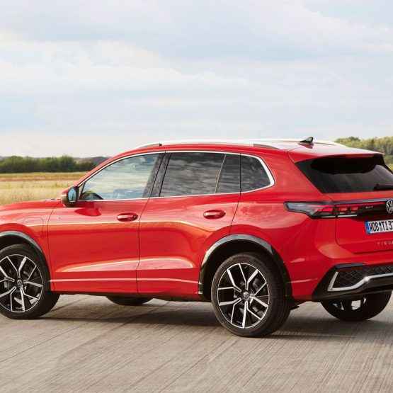 nikvantiguan0 (4)