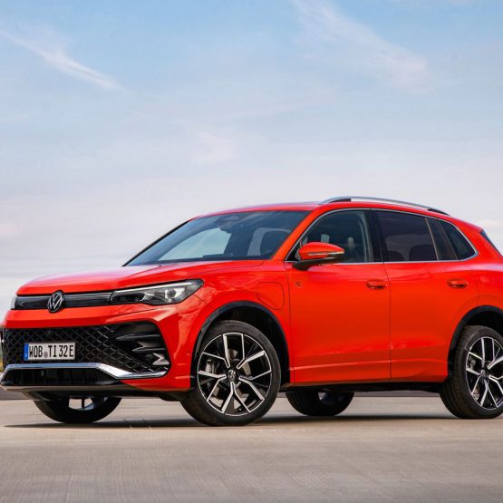 nikvantiguan0 (5)
