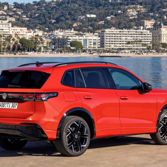 nikvantiguan0 (7)
