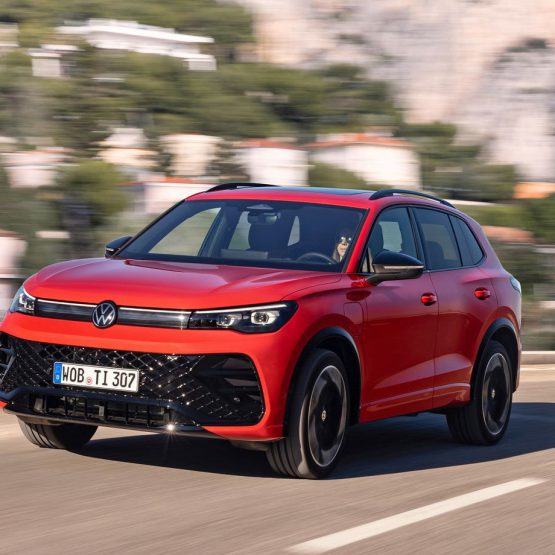 nikvantiguan0 (9)